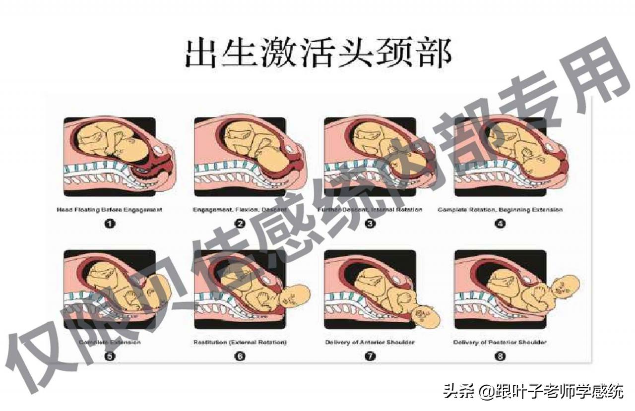 少儿英语干货资料,儿童语言问答好不好