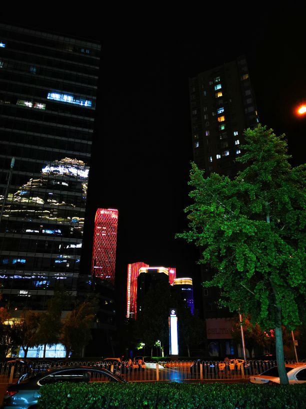 鍖椾含绉樺,鍖椾含绉樺涔嬫梾