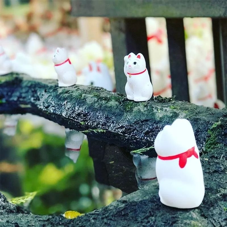 东京自由行攻略详细版,东京自由行全攻略