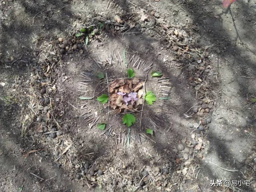 阿土｜荒野生活/从城市白领到山中野人