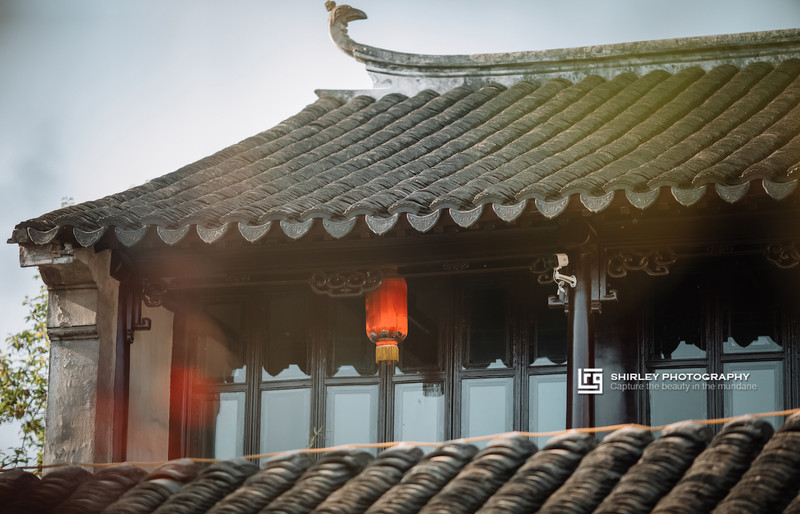 苏州旅游最不能错过的江南园林,留园拙政园是苏州著名的园林