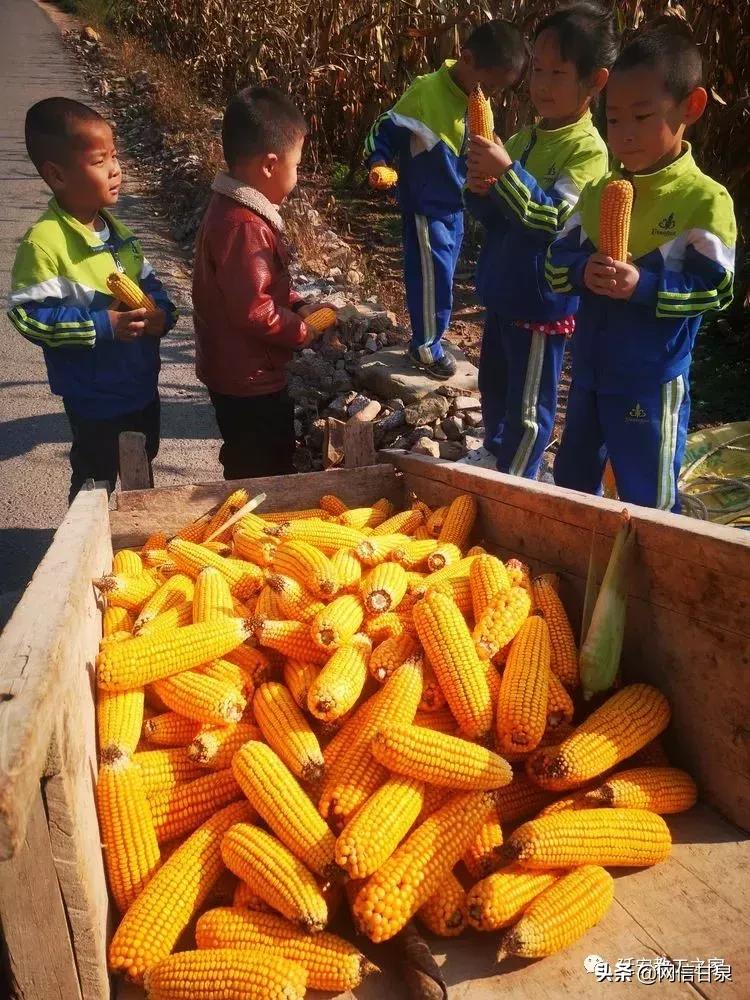 金太阳幼儿园校门,延安市甘泉谢金庄幼儿园