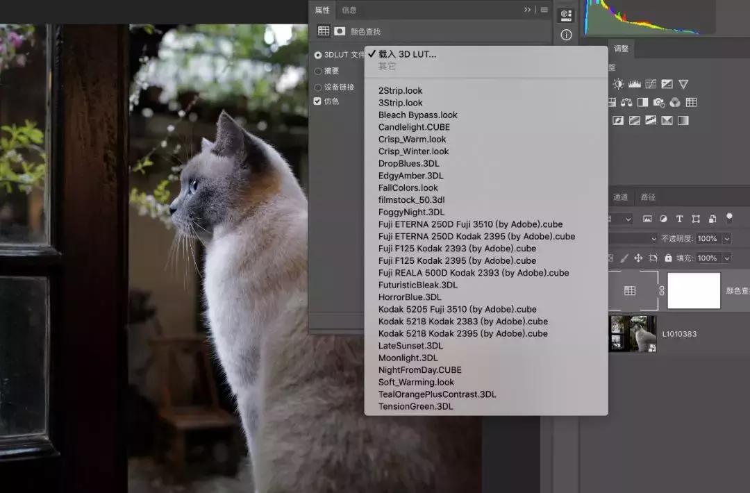 ps图片滤镜怎么调色好看,ps利用调色命令给照片调色案例