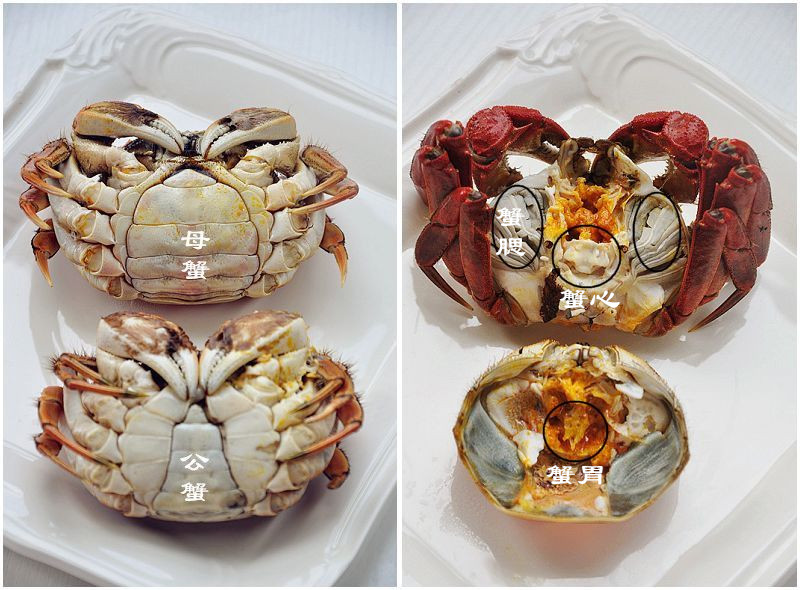 大闸蟹一般蒸多少分钟为最佳,大闸蟹一般蒸多久最好