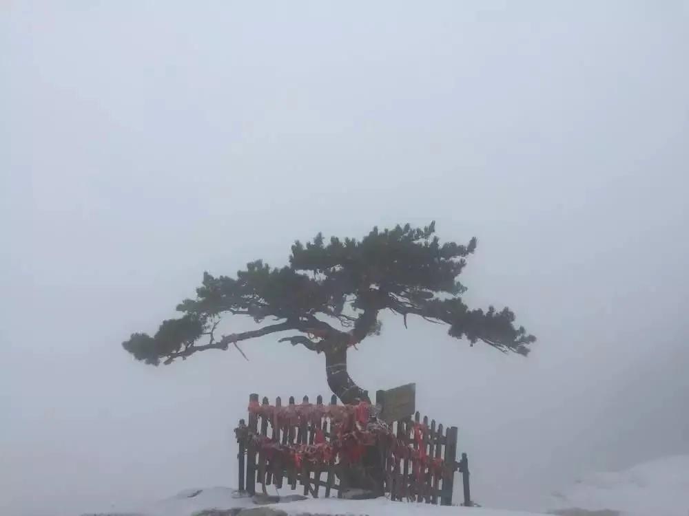 西安华山攻略一日游,西安华山三天游攻略