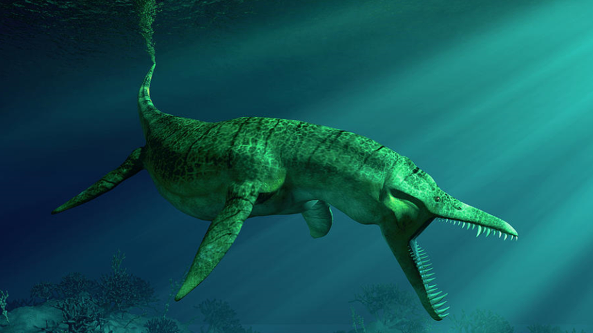 巨齿鲨vs沧龙vs帝鳄vs托斯特巨鱿,比巨齿鲨还可怕的10个史前生物