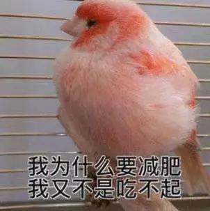 当世界名画里的女人们试图减肥…