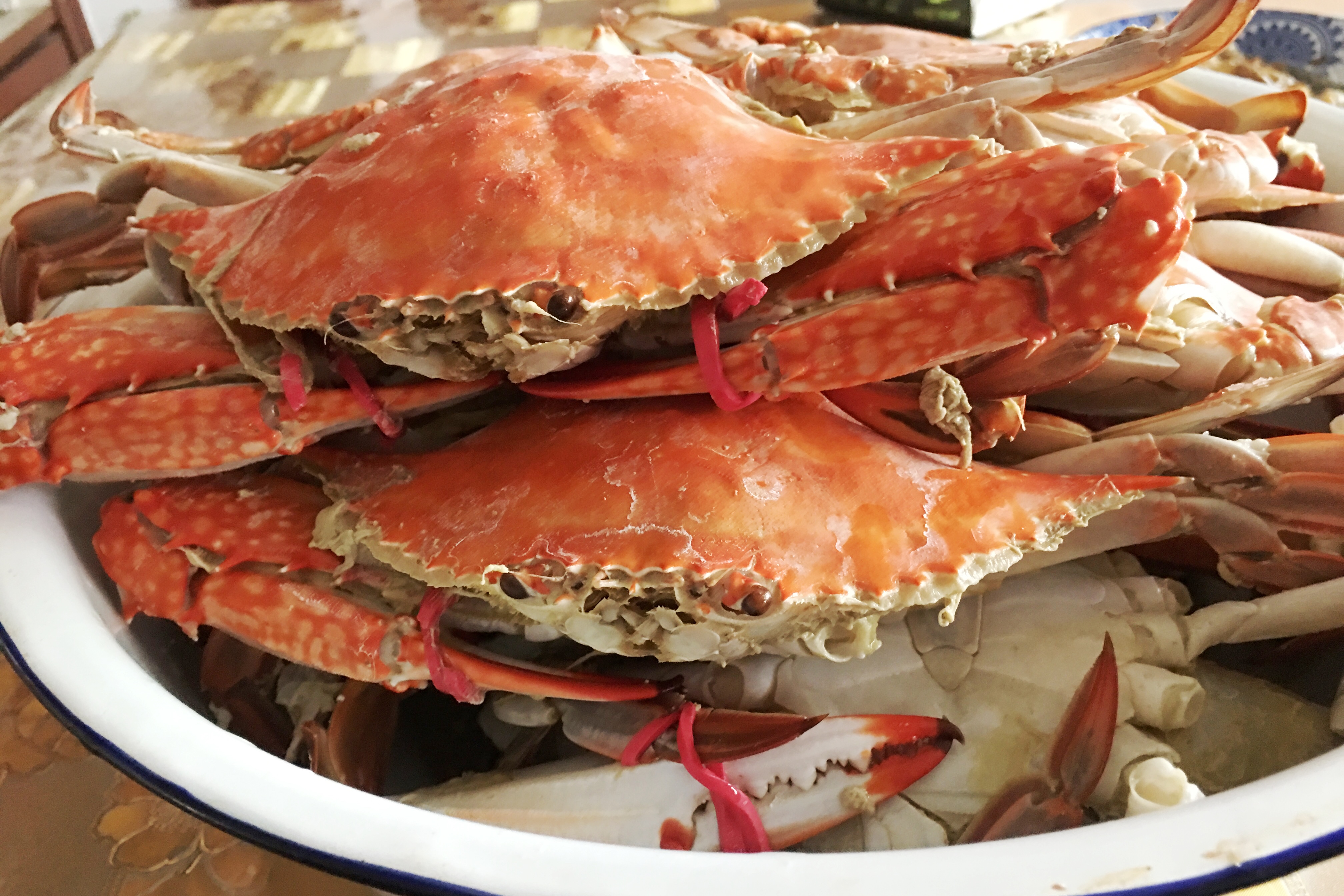 鱼吃不完怎么才能保鲜,鱼虾蟹过顿还可以吃么