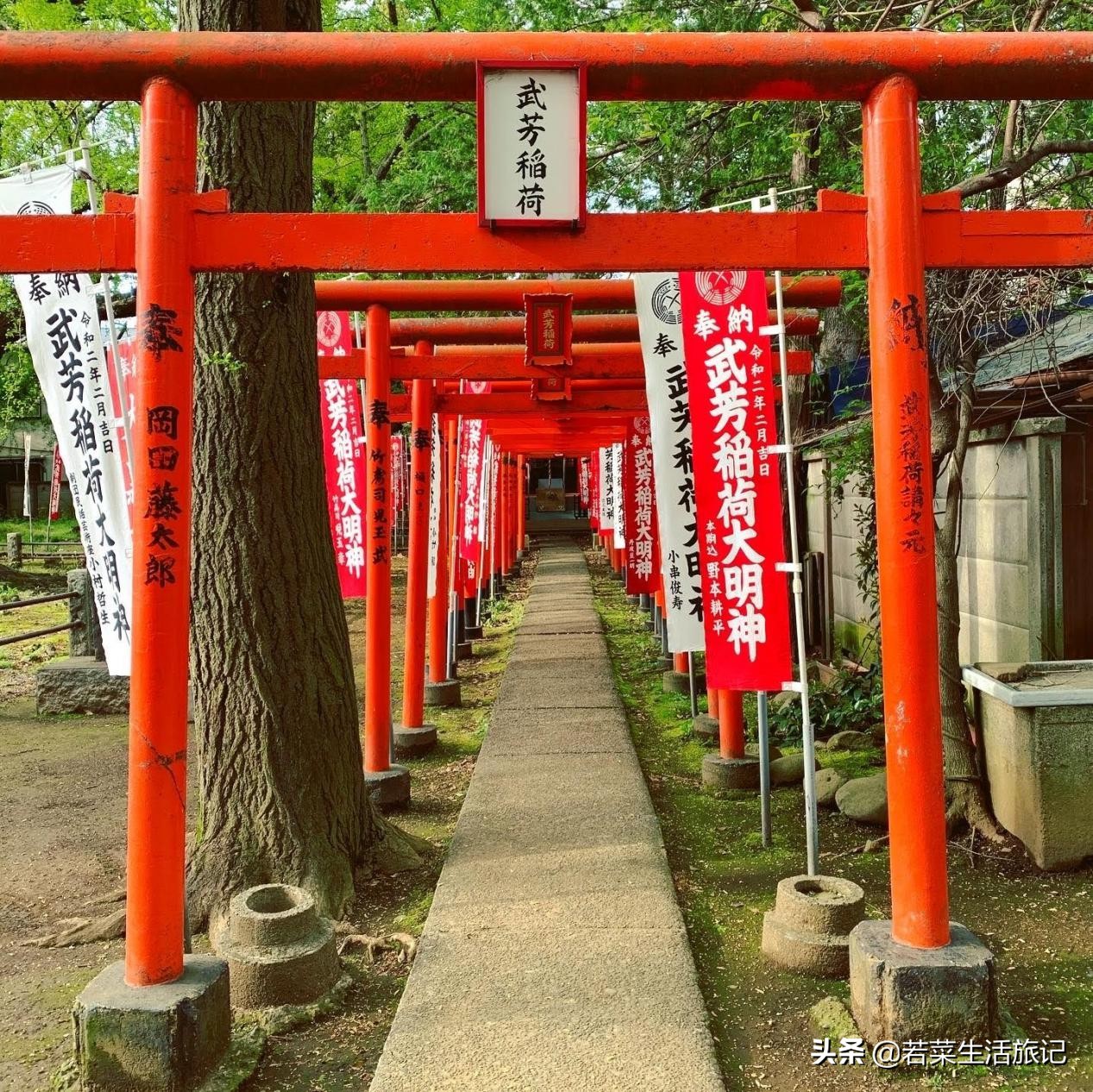 东京精灵宝可梦,东京附近必去的水族馆