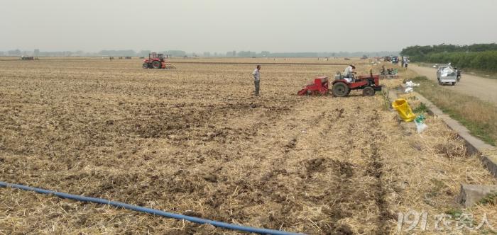 玉米花生种植高产技术,玉米高产高效种植技术