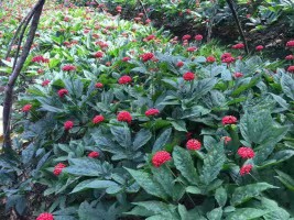 学英语有用吗视频,学英语最好用的app