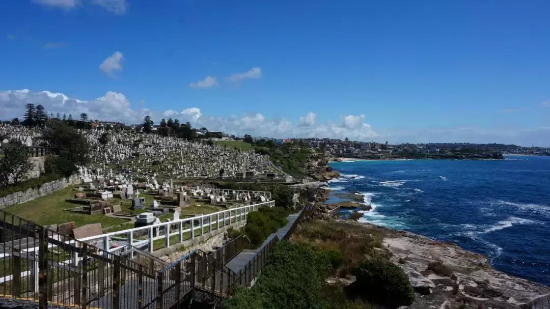 你来自泥土,又必将回归泥土。