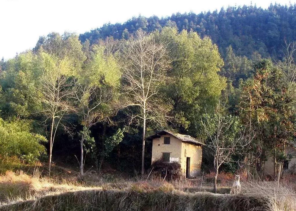 岑参边塞诗和古丝绸之路,岑参是唐朝著名的边塞诗人