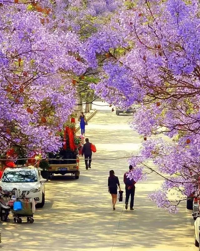四川这座隐匿千年的古城,四川这座隐藏在喧闹中的千年古镇