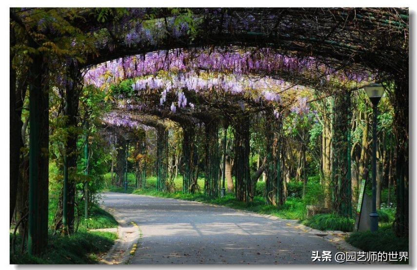 园艺研学报告,园艺园林研学