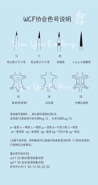 英短银点渐层和渐层的区别,英短渐层和美短渐层的区别