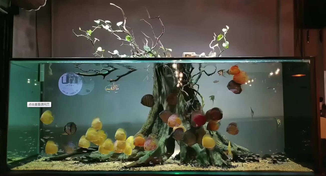 瀑布过滤器壁挂滤筒,底滤瀑布过滤怎么放滤材