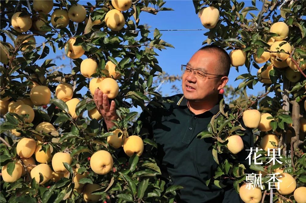 2020种什么水果最赚钱,2021种植什么水果最赚钱