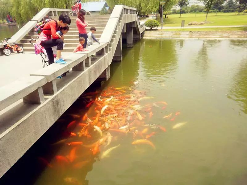 上海大学真正实力如何,上海大学被低估的专业排名