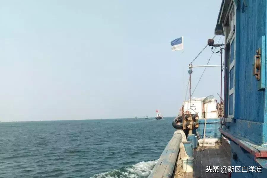 白洋淀纪事真实故事,真实的白洋淀传说