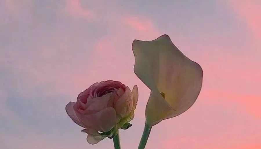 坐上闺蜜的奔驰车,闺蜜的玛莎拉蒂