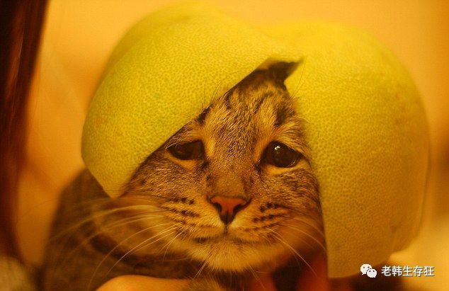 地震求生与自救技巧,生存狂在野外怎么逃生