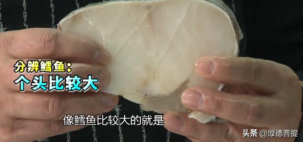 我们买到的鳕鱼是什么鳕鱼,我们买的鳕鱼为什么没头