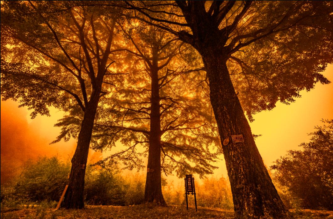 湖南周边2-3天自驾旅游推荐,长沙一日游玩最佳地方岳麓山