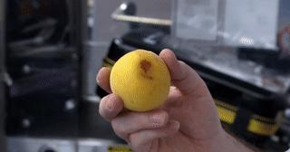 澳洲海关入境检查纪录片4个孩子,中国男孩入境澳洲被查