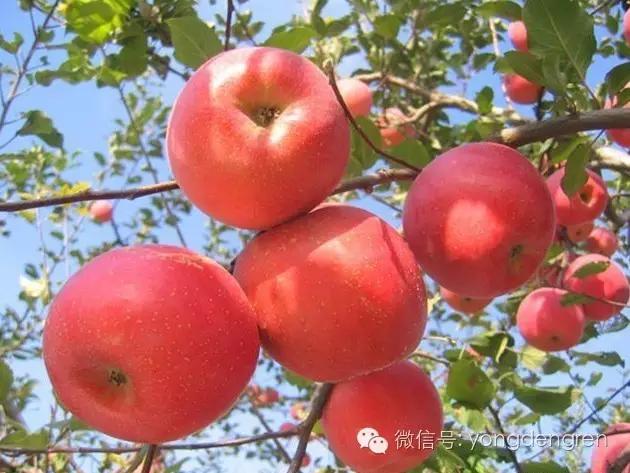 甘肃兰州最大的几个镇,兰州第一大县是哪个县