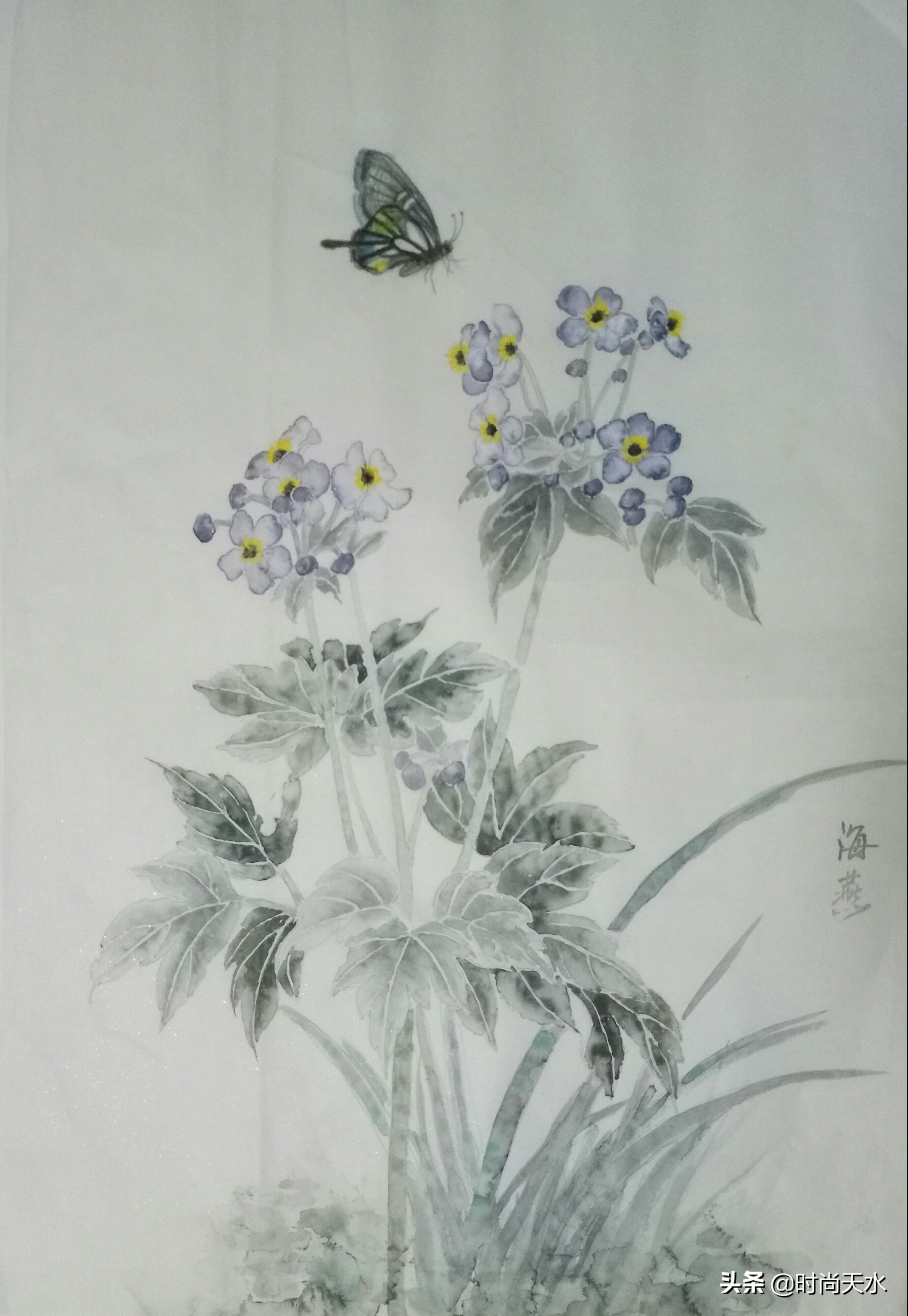 黄海燕牡丹仙子照片,牡丹仙子黄海燕