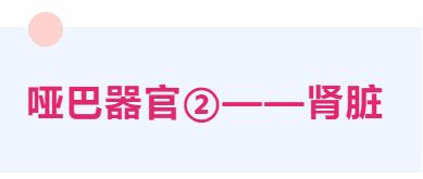 多年996的你,这三个「哑巴」器官还健康吗?