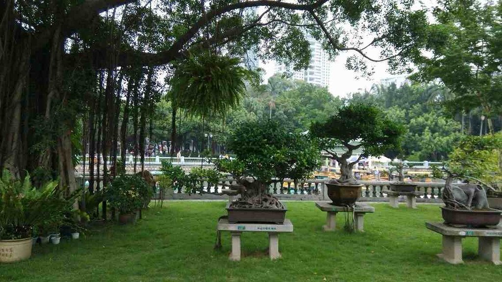 日语入门从零开始学日语,日语入门教学你在干嘛用日语说