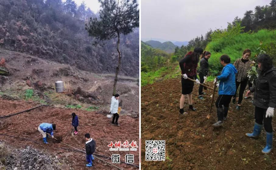 还未开学的幼儿园老师日常,十堰幼儿园开学