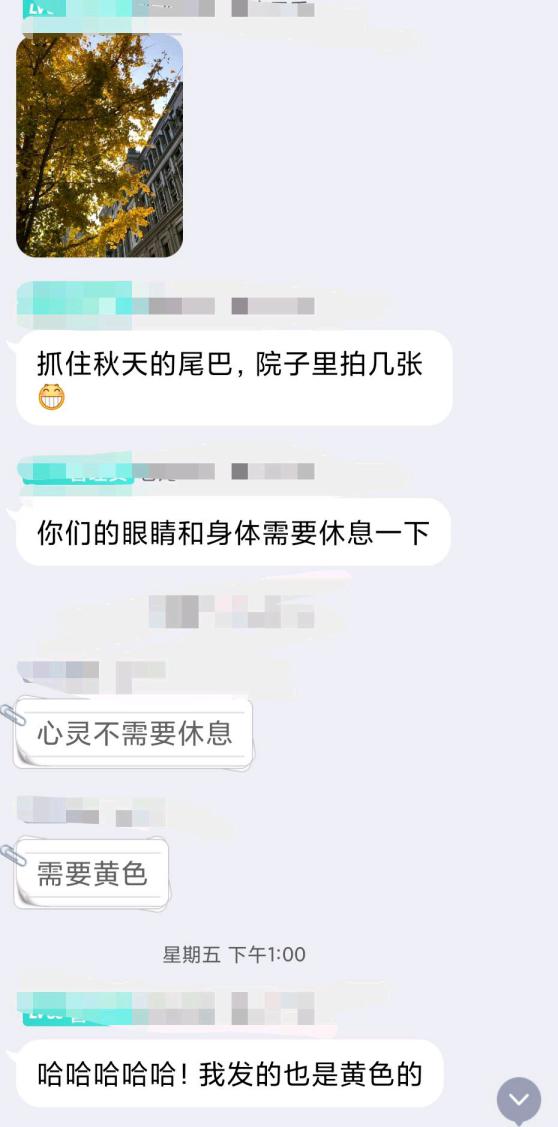 玩家进入蒼龍联盟后竟日渐消瘦，原来他们在集体开车？