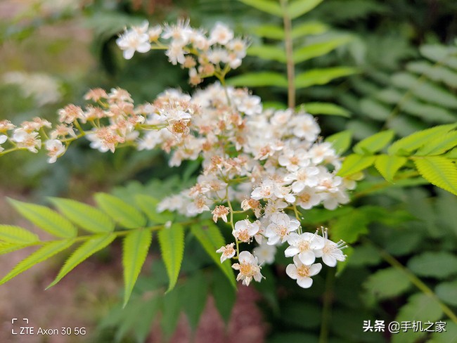 中兴axon30屏下摄像头版评测,中兴axon30与axon30pro区别