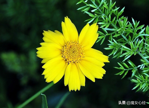 舒缓型护肤品主要功效是什么,修复镇静舒缓肌肤护肤品的卖点