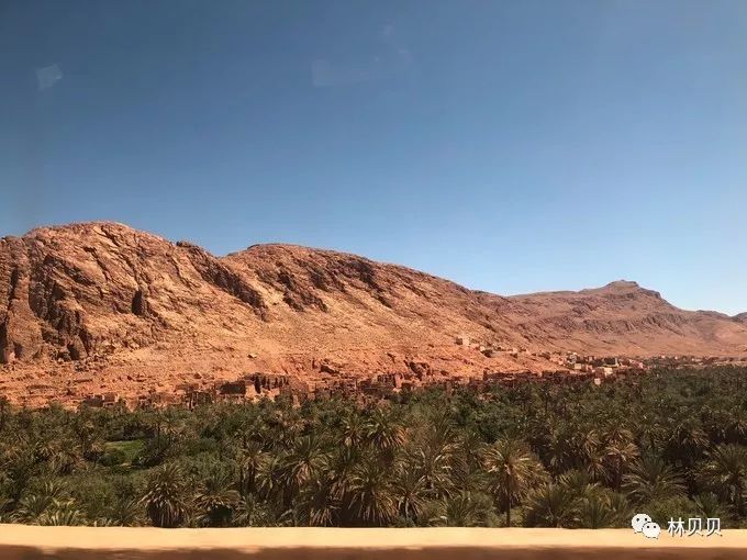 15天快速减肥10斤懒人,摩洛哥12天瘦5斤减肥成功案例