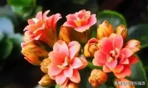 父亲节送给父亲什么礼物最好,父亲节一首好听的歌送给父亲