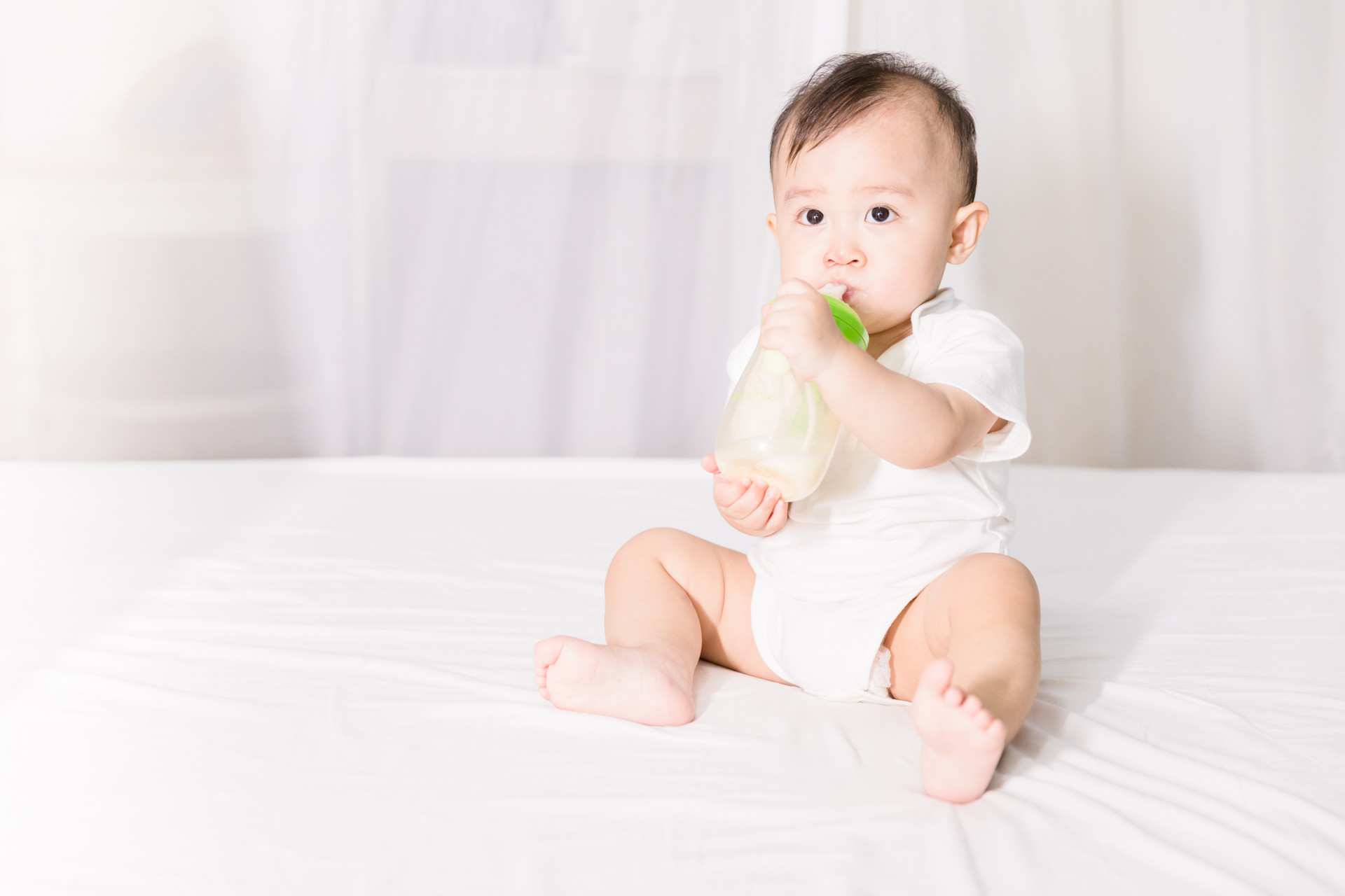 广州海关查获异宠,广州海关奶粉严查