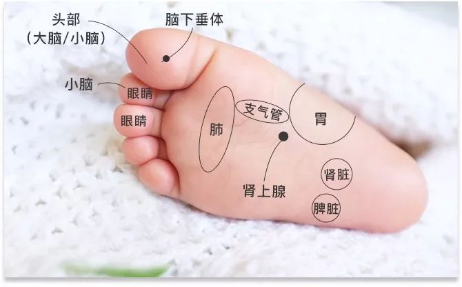 四岁小孩的脚一年长多大,儿童脚内长16穿多大码鞋