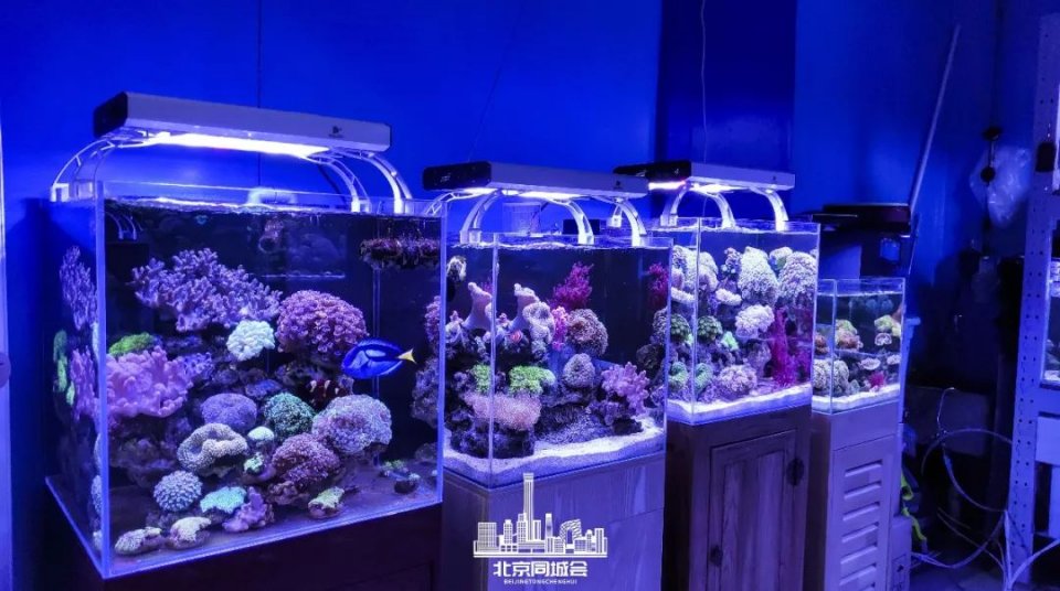 不去后悔去了更加后悔的景点,不去后悔去的景点