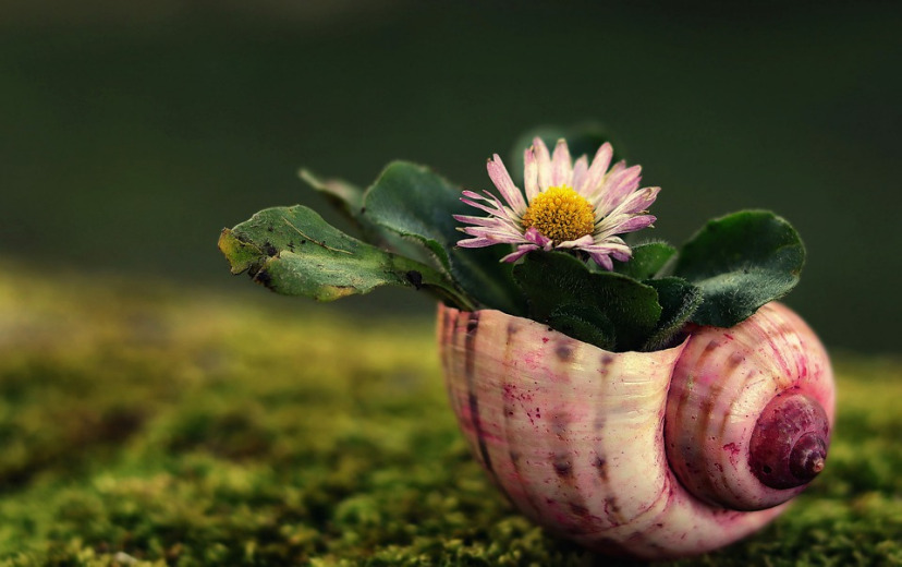 十年婚姻老公出轨,10年婚姻老公出轨了会离婚吗