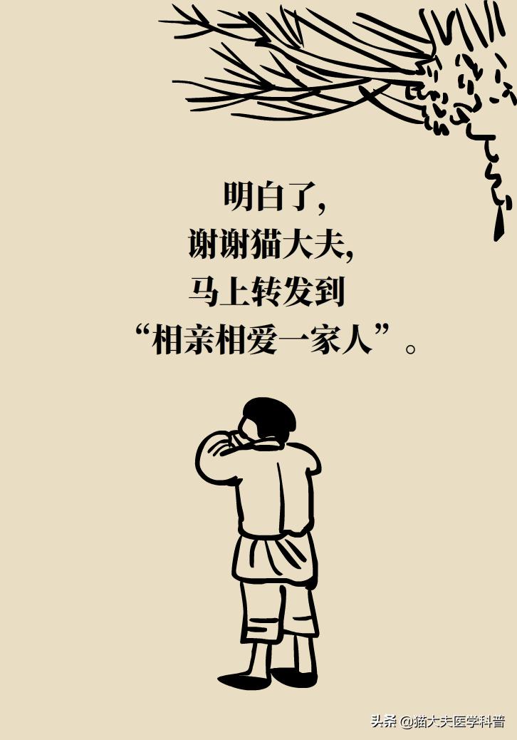 明星吃花胶,花胶的功效与作用排行榜