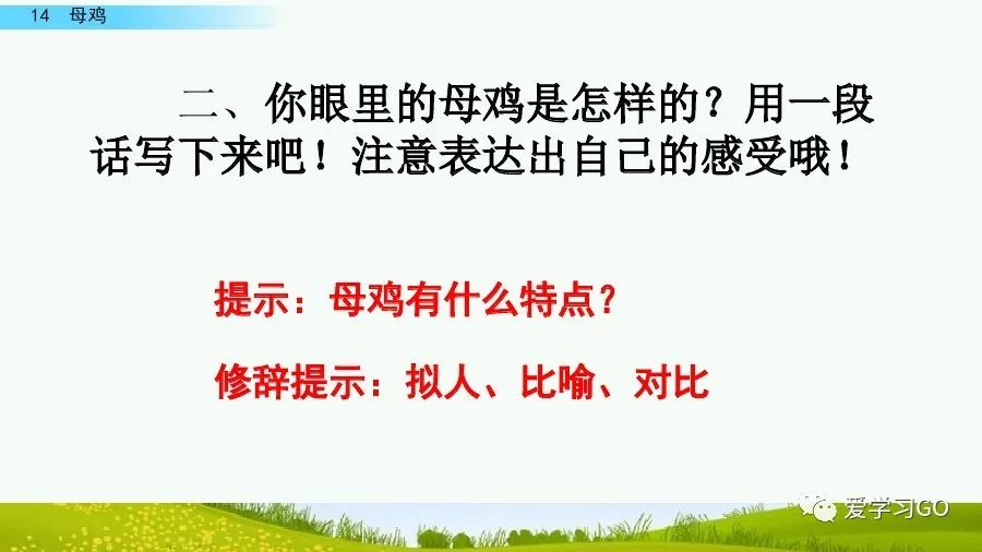 四年级下册语文母鸡课文重点讲解,四年级下册语文14课母鸡重点知识