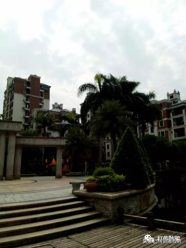 小说我在传销的日子,在广西传销的小说