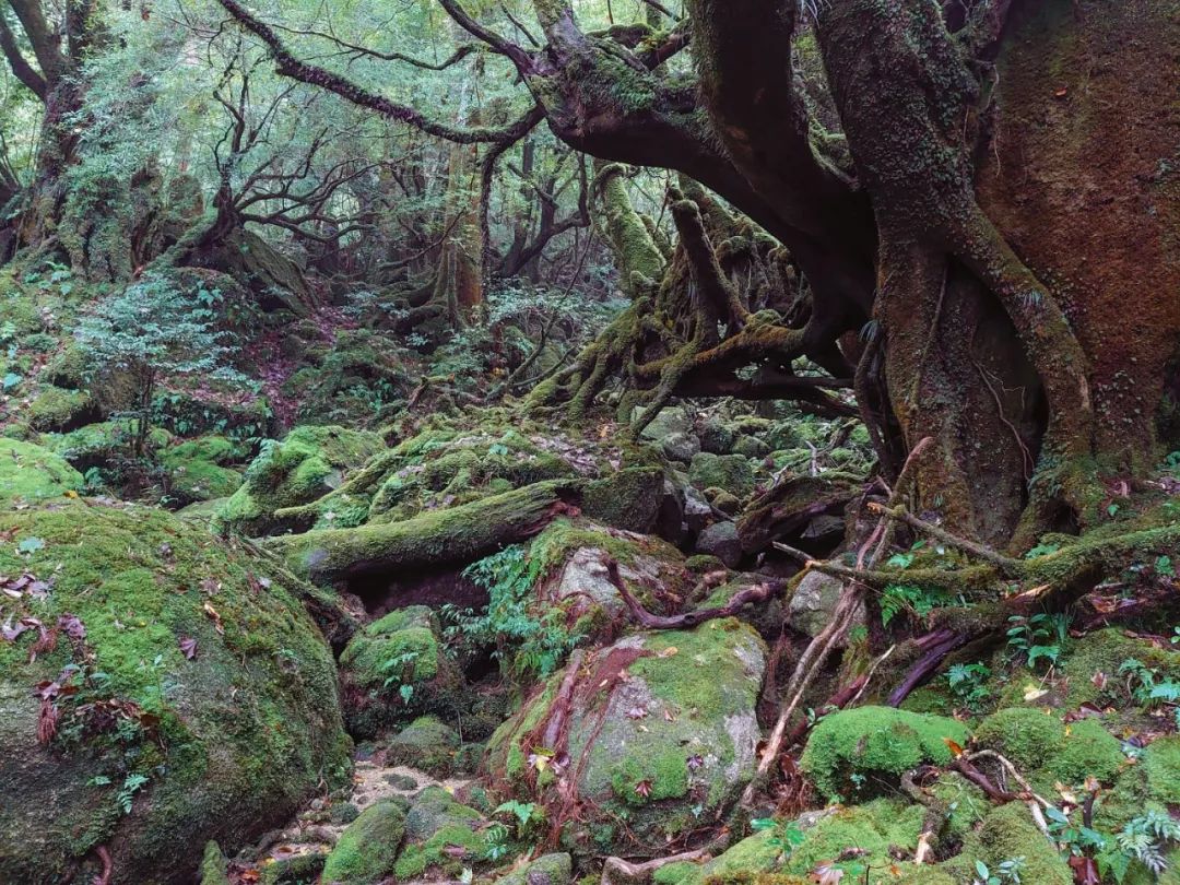 绱㈠凹xperia1鍦ㄦ棩鏈殑鍞环,绱㈠凹xperia1鏃ユ湰