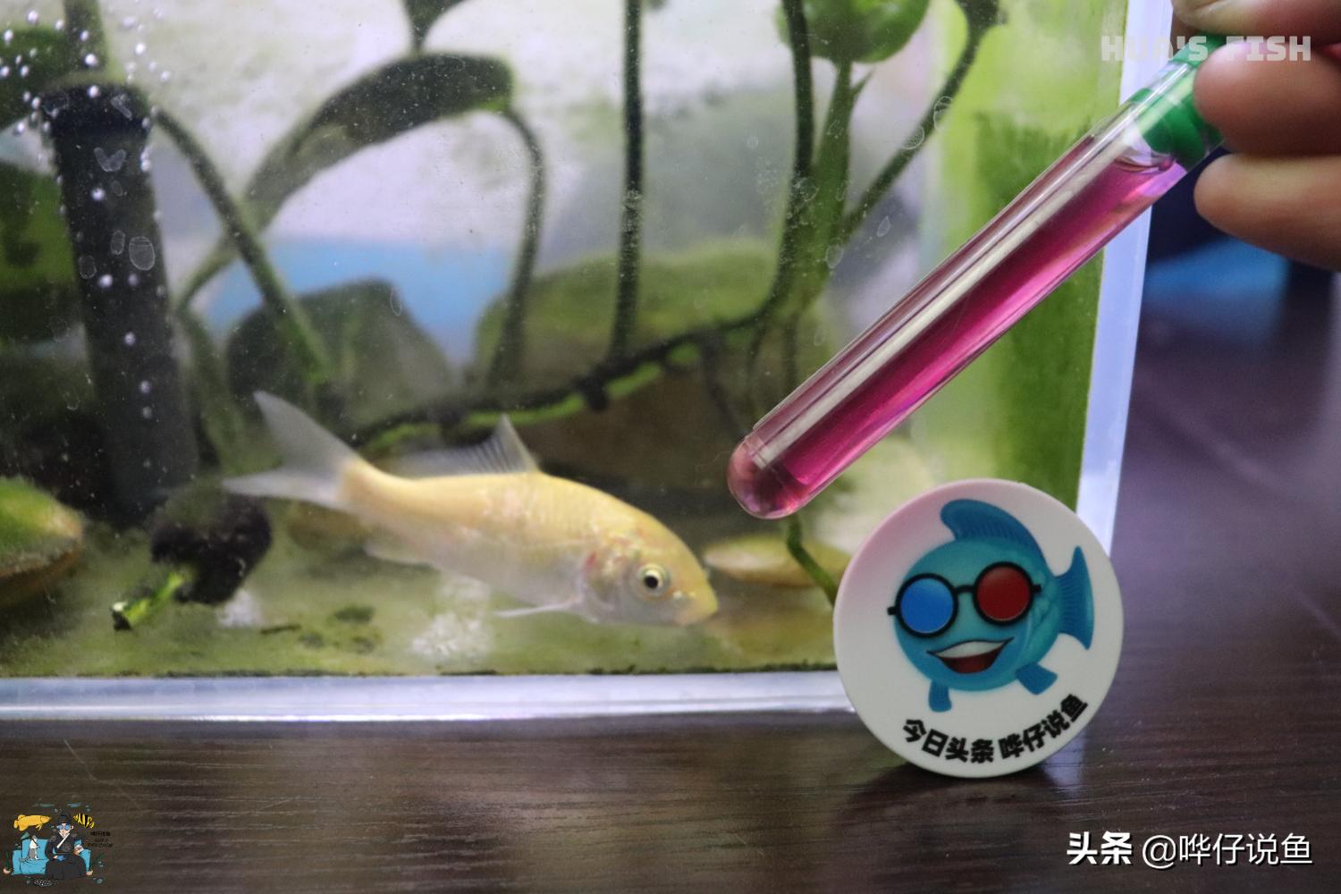 鱼缸换水需要换什么水,鱼缸换水要全部水换吗