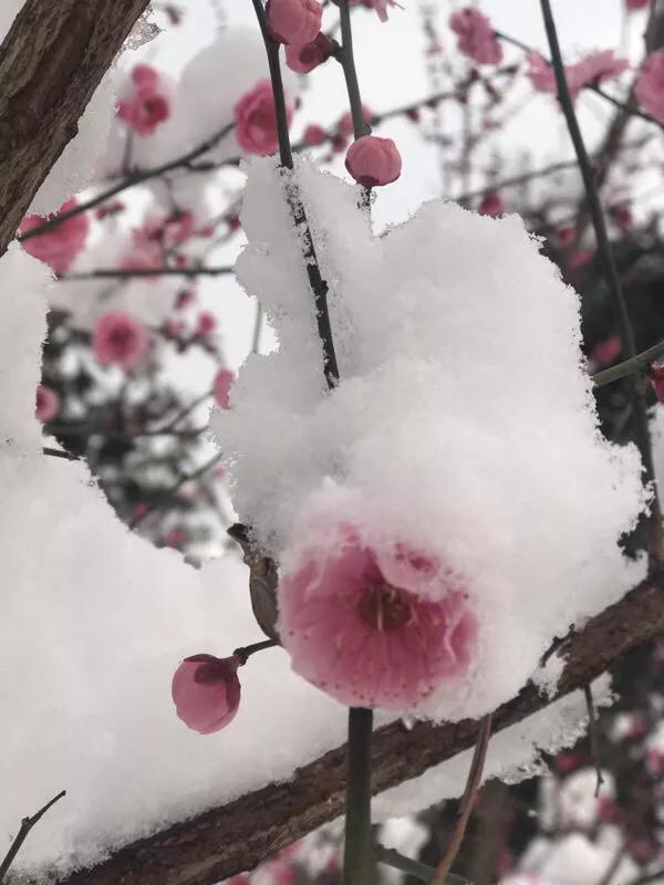 手拍世界摄影网,手拍世界微信公众号