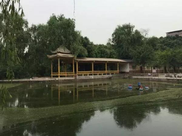 重庆主城周边农家乐推荐,重庆主城性价比高的农家乐及价格